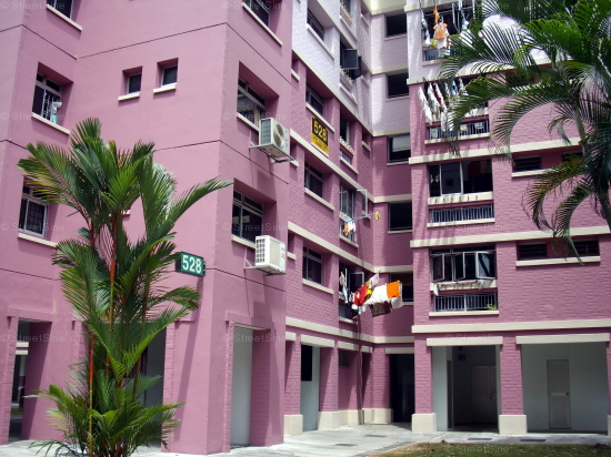 Blk 528 Choa Chu Kang Street 51 (Choa Chu Kang), HDB Executive #78192